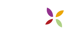 Amalgama Social